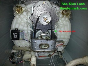 Mô tơ máy giặt